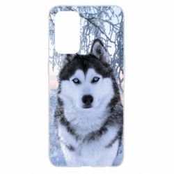 Чохол для Oppo Reno 5 4G Winter Husky - PrintSalon