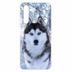 Чохол для Realme 6 Pro Winter Husky - PrintSalon
