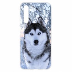 Чохол для Realme 6 Winter Husky - PrintSalon