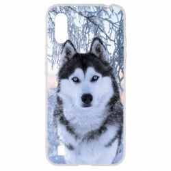Чохол для Samsung A01 / M01 Winter Husky - PrintSalon