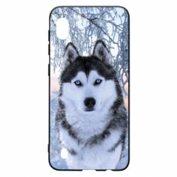 Чехол для Samsung A10 Winter Husky