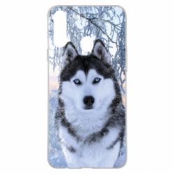 Чохол для Samsung A20s Winter Husky - PrintSalon