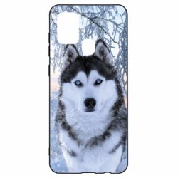 Чохол для Samsung A21s Winter Husky - PrintSalon