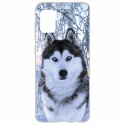 Чохол для Samsung A31 Winter Husky - PrintSalon