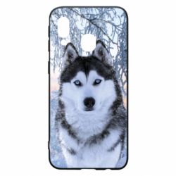 Чохол для Samsung A40 Winter Husky - PrintSalon