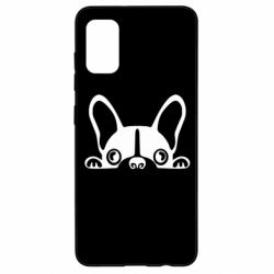 Чехол для Samsung A41 French Bulldog Puppy - PrintSalon