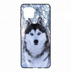 Чохол для Samsung A42 5G Winter Husky - PrintSalon