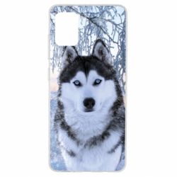 Чохол для Samsung A51 Winter Husky - PrintSalon