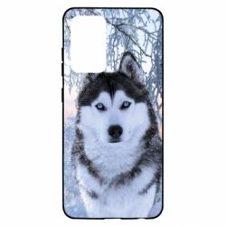 Чохол для Samsung A52 5G Winter Husky - PrintSalon