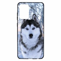 Чохол для Samsung A72 5G Winter Husky - PrintSalon