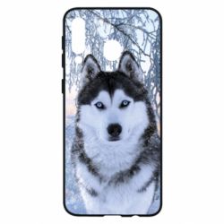 Чохол для Samsung M30 Winter Husky - PrintSalon