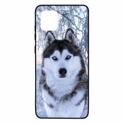 Чохол для Samsung Note 10 Lite Winter Husky - PrintSalon