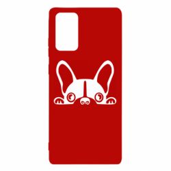 Чехол для Samsung Note 20 French Bulldog Puppy - PrintSalon