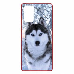 Чохол для Samsung Note 20 Winter Husky - PrintSalon
