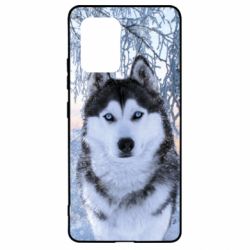 Чохол для Samsung S10 Lite Winter Husky - PrintSalon