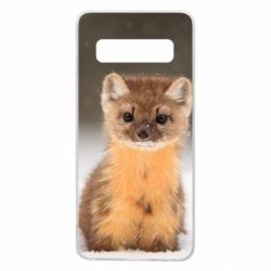 Чехол для Samsung S10 Пушистая куница - PrintSalon