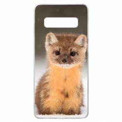 Чехол для Samsung S10+ Пушистая куница - PrintSalon