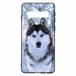 Чохол для Samsung S10 Winter Husky - PrintSalon