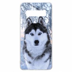 Чохол для Samsung S10+ Winter Husky - PrintSalon