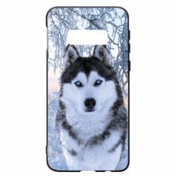 Чохол для Samsung S10e Winter Husky - PrintSalon