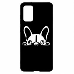 Чехол для Samsung S20+ French Bulldog Puppy - PrintSalon