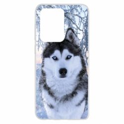 Чохол для Samsung S20 Ultra Winter Husky - PrintSalon