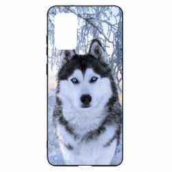 Чохол для Samsung S20+ Winter Husky - PrintSalon