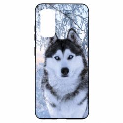 Чохол для Samsung S20 Winter Husky - PrintSalon