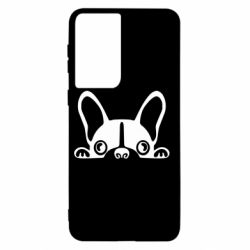 Чехол для Samsung S21 French Bulldog Puppy - PrintSalon