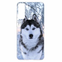 Чохол для Samsung S21+ Winter Husky - PrintSalon
