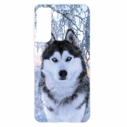 Чохол для Samsung S21 Winter Husky - PrintSalon