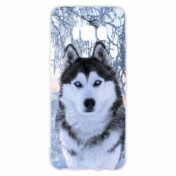 Чохол для Samsung S8 Winter Husky - PrintSalon