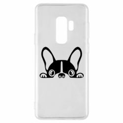 Чехол для Samsung S9+ French Bulldog Puppy