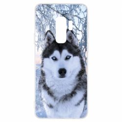 Чохол для Samsung S9+ Winter Husky - PrintSalon