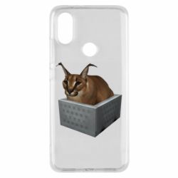 Чехол для Xiaomi Mi A2 Шлепа в тазике - PrintSalon