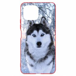 Чохол для Xiaomi Mi11 Lite Winter Husky - PrintSalon