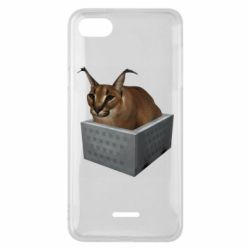 Чехол для Xiaomi Redmi 6A Шлепа в тазике