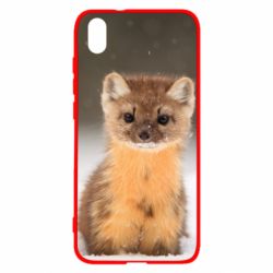 Чехол для Xiaomi Redmi 7A Пушистая куница - PrintSalon