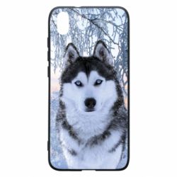 Чохол для Xiaomi Redmi 7A Winter Husky - PrintSalon