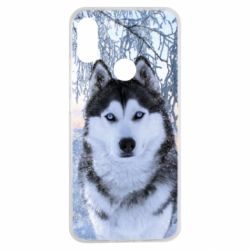 Чохол для Xiaomi Redmi Note 7 Winter Husky - PrintSalon