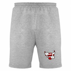 Мужские шорты Chicago Bulls бык - PrintSalon