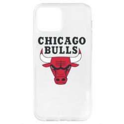 Чехол для iPhone 12 Chicago Bulls Classic - PrintSalon
