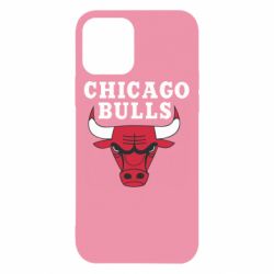 Чехол для iPhone 12 Pro Chicago Bulls Classic - PrintSalon