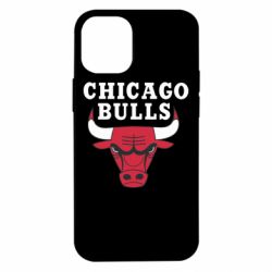 Чехол для iPhone 12 mini Chicago Bulls Classic - PrintSalon