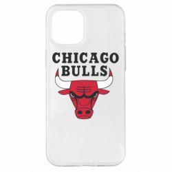 Чехол для iPhone 12 Pro Max Chicago Bulls Classic - PrintSalon