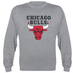 Cвитшот Chicago Bulls Classic - PrintSalon