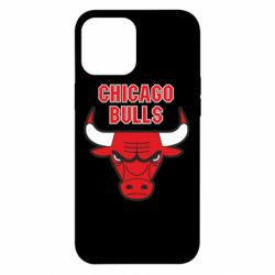Чехол для iPhone 12 Pro Max Chicago Bulls vol.2 - PrintSalon