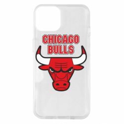 Чехол для iPhone 14 Chicago Bulls vol.2 - PrintSalon