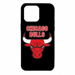 Чехол для iPhone 14 Pro Max Chicago Bulls vol.2 - PrintSalon