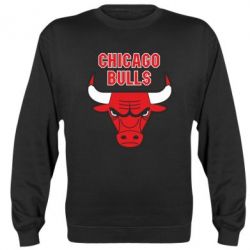 Cвитшот Chicago Bulls vol.2 - PrintSalon